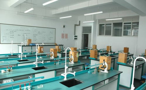 量子鬼才歸國(guó)記 一條短信引發(fā)的科技彎道超車(chē)